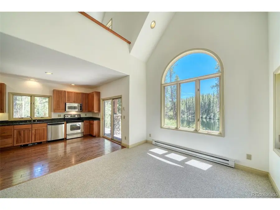 185 Lotus Lon Dr, Leadville, CO 80461 - #3