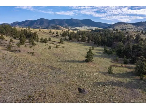 0 Big Buck Rd, Guffey, CO 80820