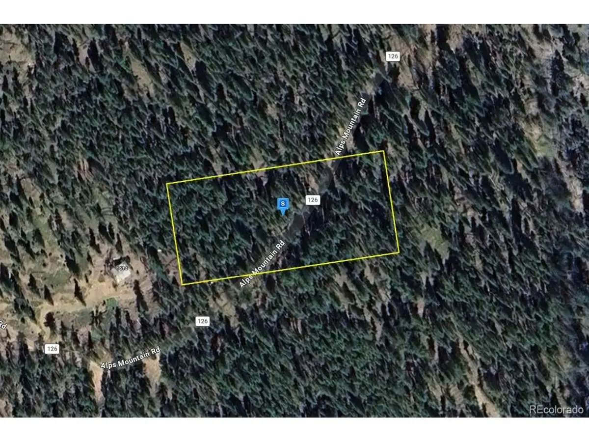1520 Alps Mountain Rd, Idaho Springs, CO 80452 - #1