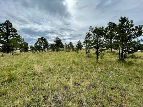 32011 Cattle Circle, Ramah, CO 80832