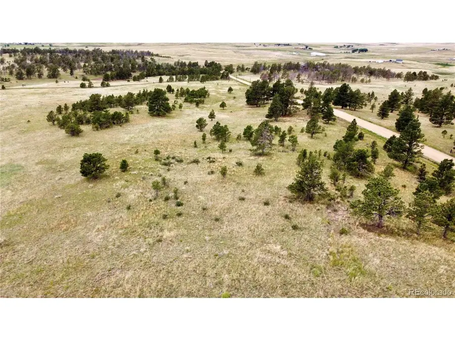 32011 Cattle Circle, Ramah, CO 80832 - #2