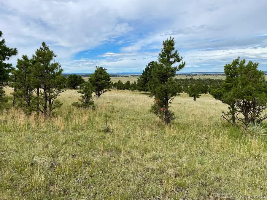 32011 Cattle Circle, Ramah, CO 80832 - #3