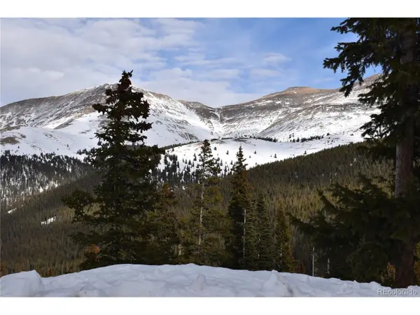 404 Carroll Ln, Breckenridge, CO 80424