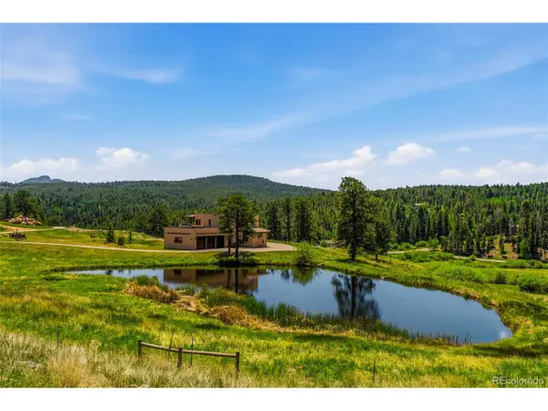 28098 Green Valley Ln, Conifer, CO 80433