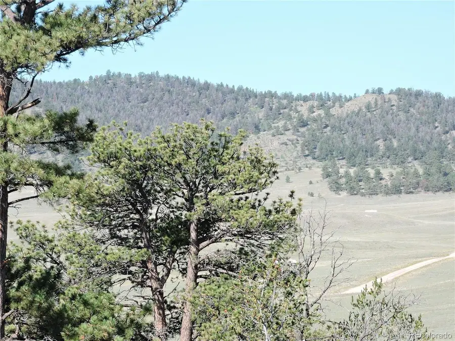 640 Arapaho Trl, Hartsel, CO 80449 - #3