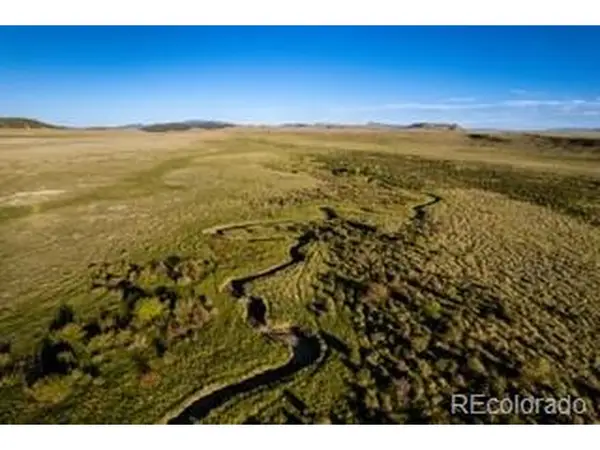 33185 9, Hartsel, CO 80449