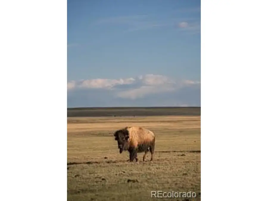 33185 9, Hartsel, CO 80449 - #2