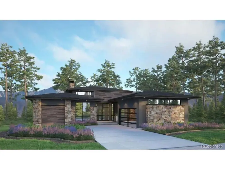 8099 Painted Pine St, Parker, CO 80134 - #2