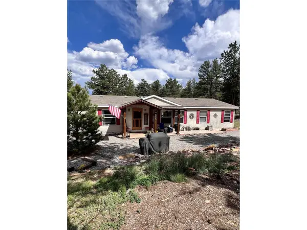 434 Blue Mountain Dr, Florissant, CO 80816