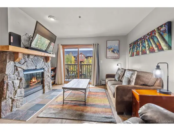 20 Hunkidori Ct #2294, Dillon, CO 80435