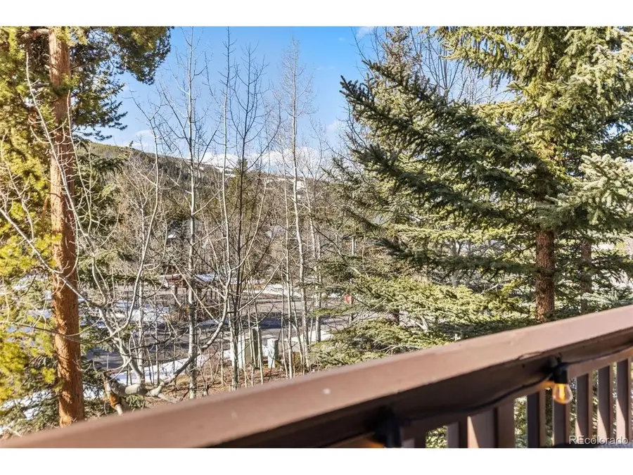 45 Trappers Crossing Trl #8754, Dillon, CO 80435 - #3