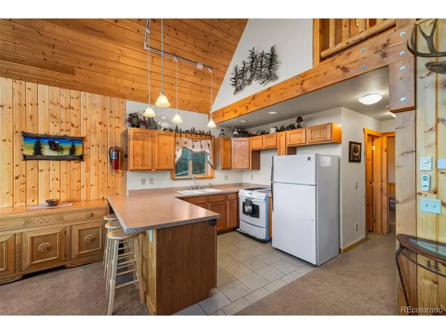 1081 Travois Rd, Como, CO 80432 - #3