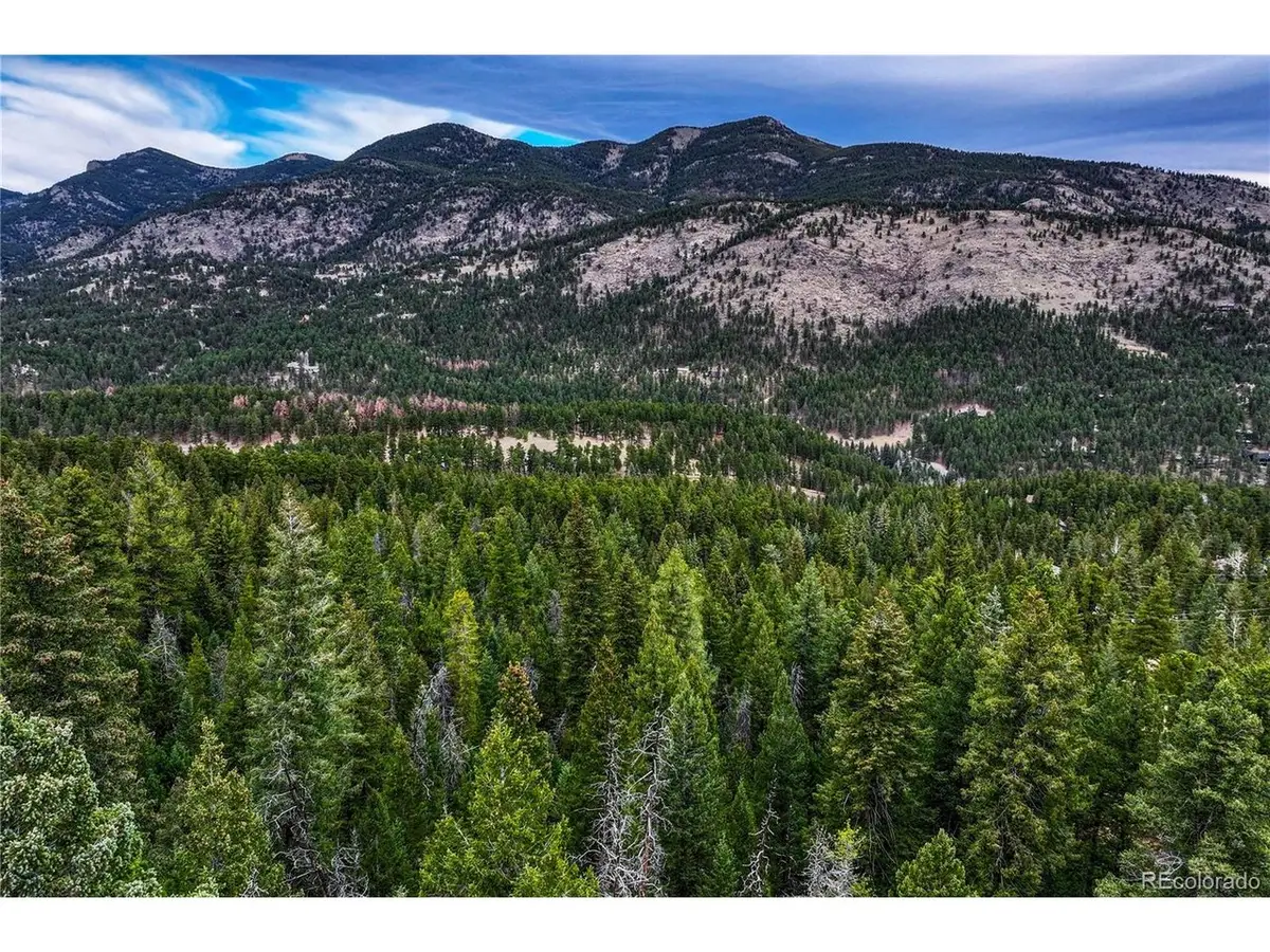 33864 Bergen View Trl, Evergreen, CO 80439 - #1