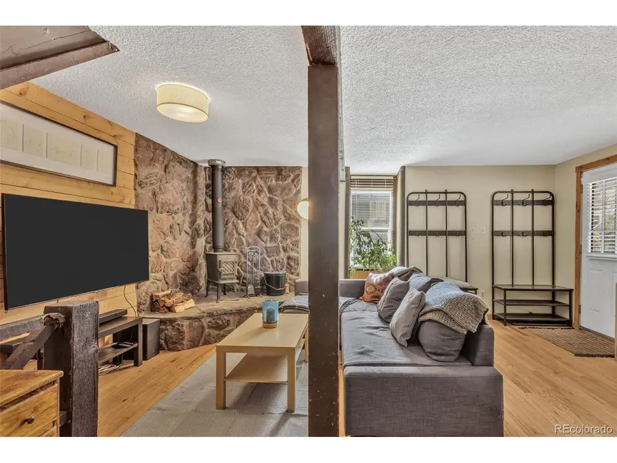 1450 Marion St, Georgetown, CO 80444 - Image #3