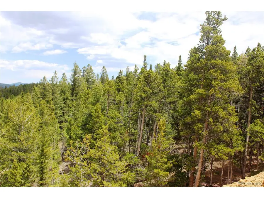 19129 Eliza, Idaho Springs, CO 80461 - #3