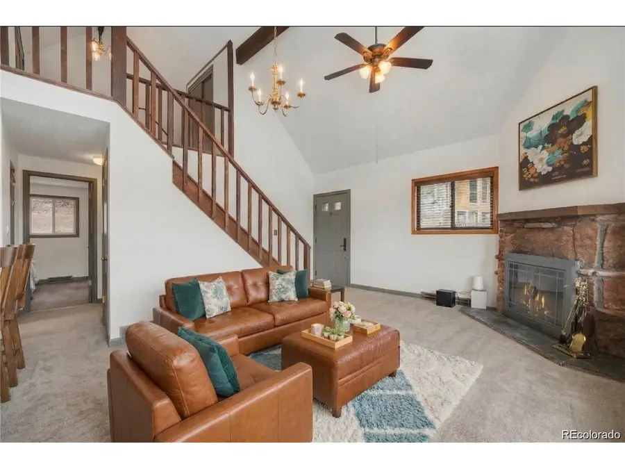201 Silver Creek Rd, Idaho Springs, CO 80452 - #2