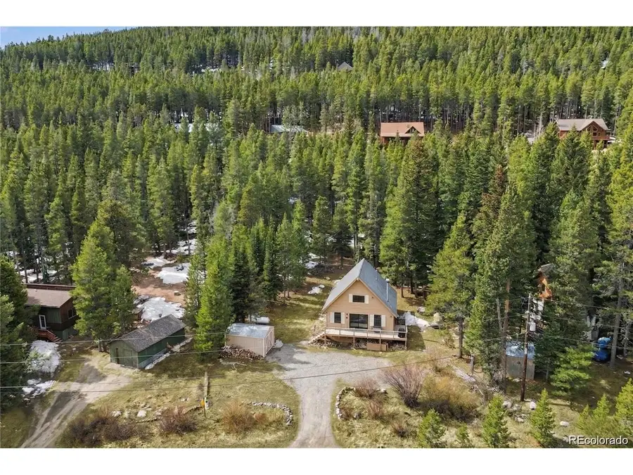 201 Silver Creek Rd, Idaho Springs, CO 80452 - #3