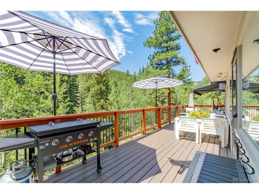 7992 County Road 43, Bailey, CO 80421 - #2