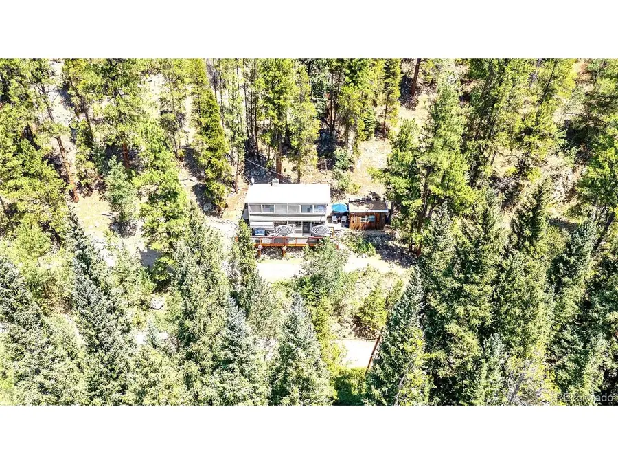 7992 County Road 43, Bailey, CO 80421 - #3