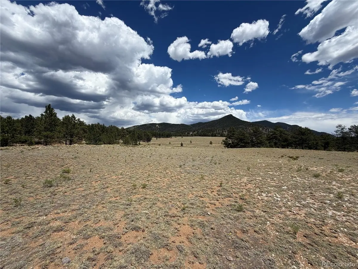 11840 Clear Creek Rd, Hartsel, CO 80449 - #1