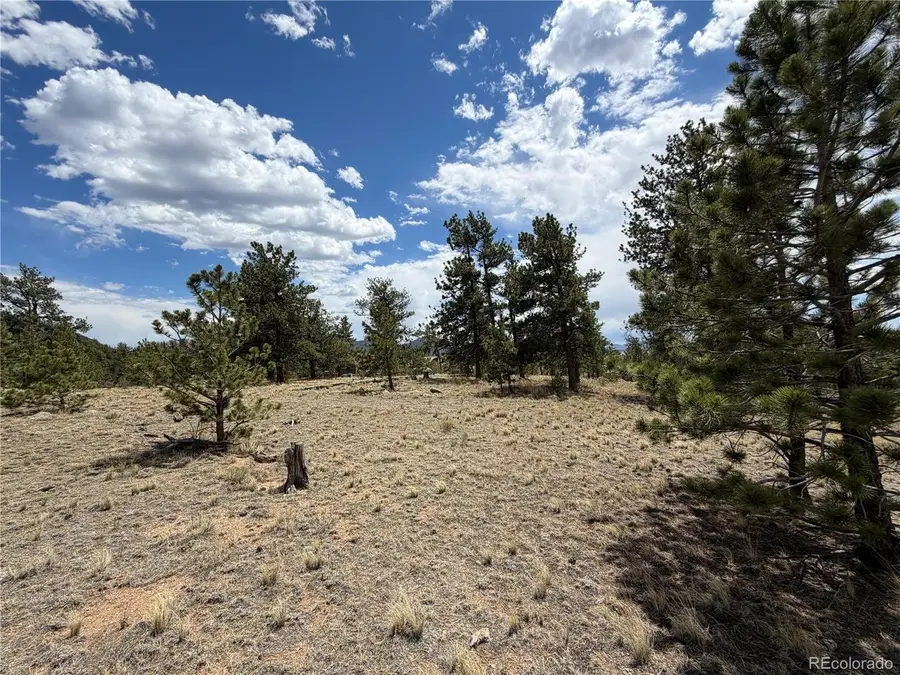 11840 Clear Creek Rd, Hartsel, CO 80449 - #3