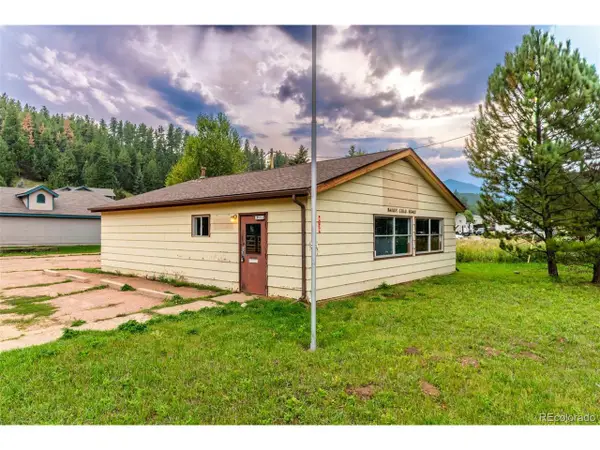 5138 County Road 64, Bailey, CO 80421