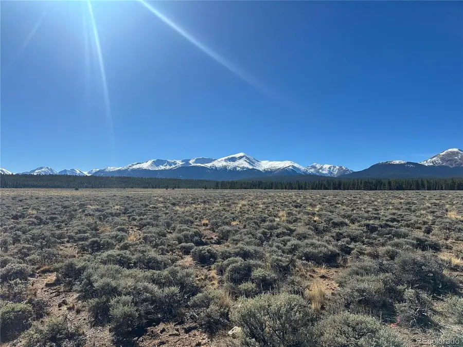 15 County Road 10, Leadville, CO 80461 - #3