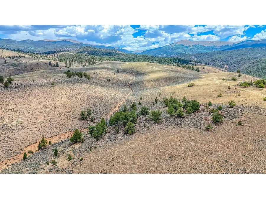 18829 County Road 397, Granite, CO 81251 - #2