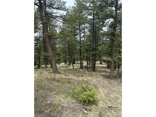 1120 N Mountain Estates Rd, Florissant, CO 80816