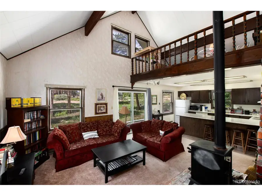 178 Elk Rd, Idaho Springs, CO 80452 - Image #3