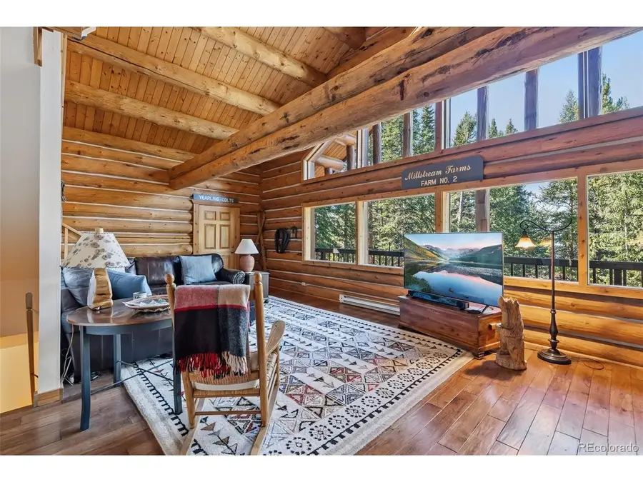 291 Cr 533, Breckenridge, CO 80424 - #2