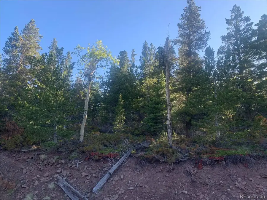 3207 Vaughn Ln, Fort Garland, CO 81133 - #2