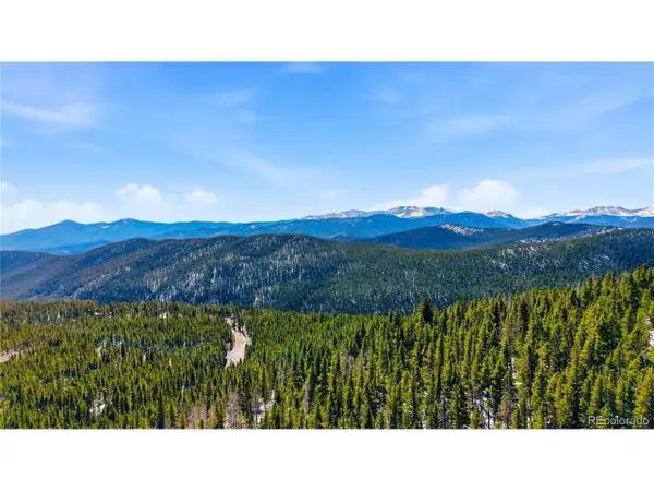 483 Hilltop Rd, Idaho Springs, CO 80452