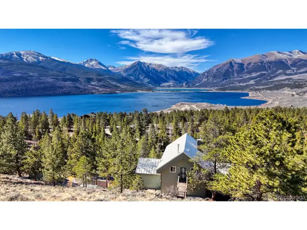 165 Reva Ridge Rd, Twin Lakes, CO 81251