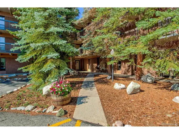 222 Creekside Dr #317, Frisco, CO 80443