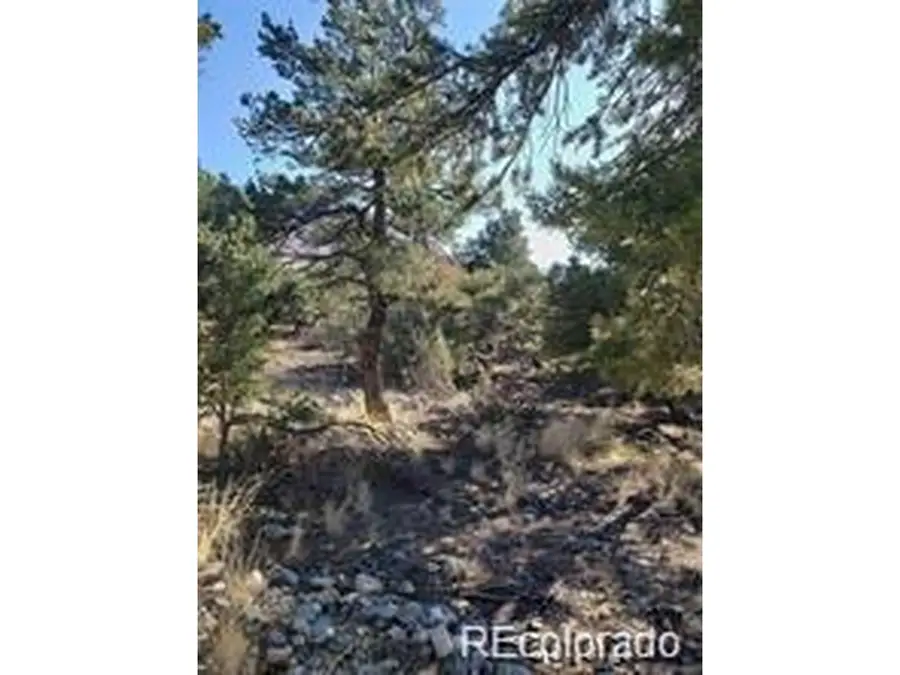 148 Lake Of The Falls Pkwy, Mosca, CO 81146 - #2