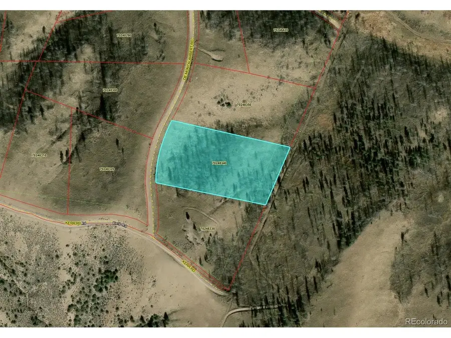 7726 De Montalambert Rd, Fort Garland, CO 81133 - #2
