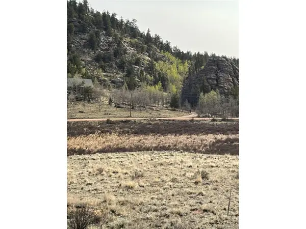 1441 Longbow Dr, Como, CO 80432