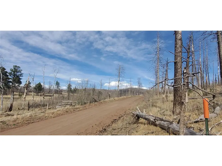1224 Emery Loop, Fort Garland, CO 81133 - #3