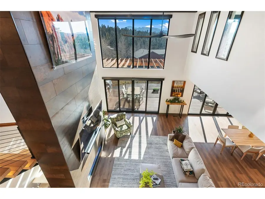 449 Oxford Ln, Woodland Park, CO 80863 - #3