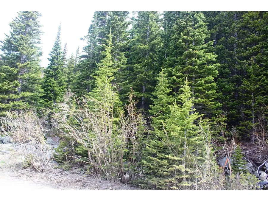 16564 Pennsylvania, Idaho Springs, CO 80461 - #3