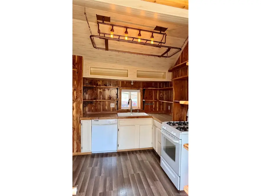 410 E 5th St, Leadville, CO 80461 - #3