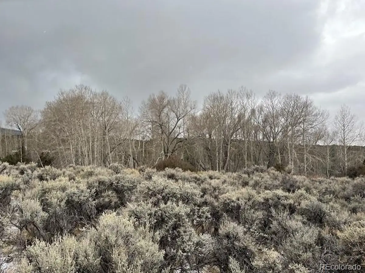 2242 Slegers Rd, Fort Garland, CO 81133 - Image #1