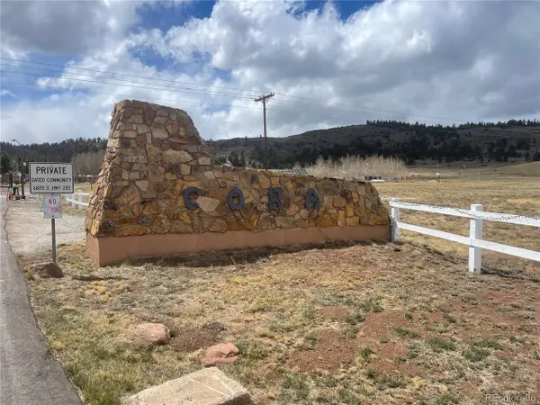 Address Withheld By Seller, Fairplay, CO 80440