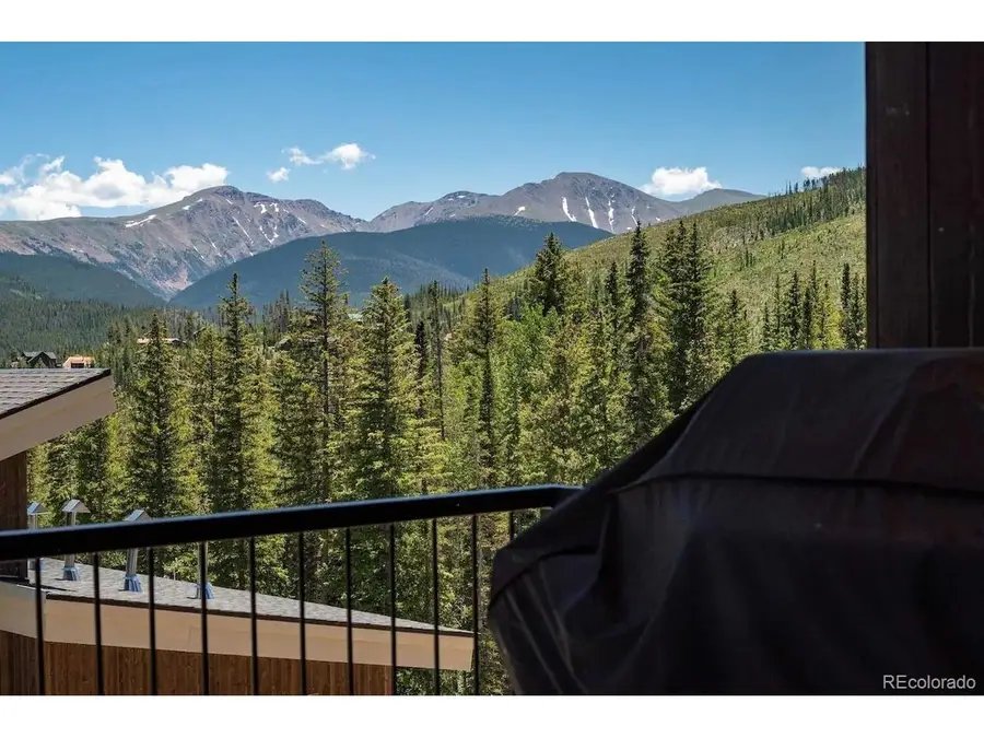387 Bear Trl, Winter Park, CO 80482 - #3