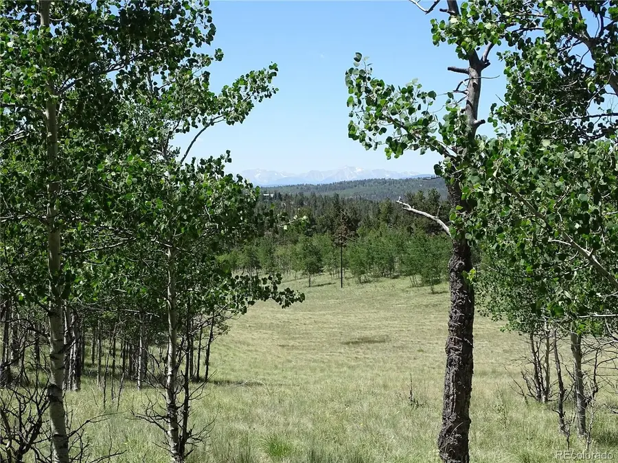 782 Bowstring Rd, Como, CO 80432 - #3