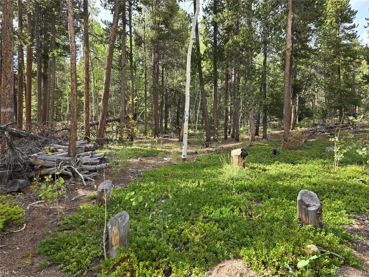 1 Tiber, Black Hawk, CO 80422 - #1