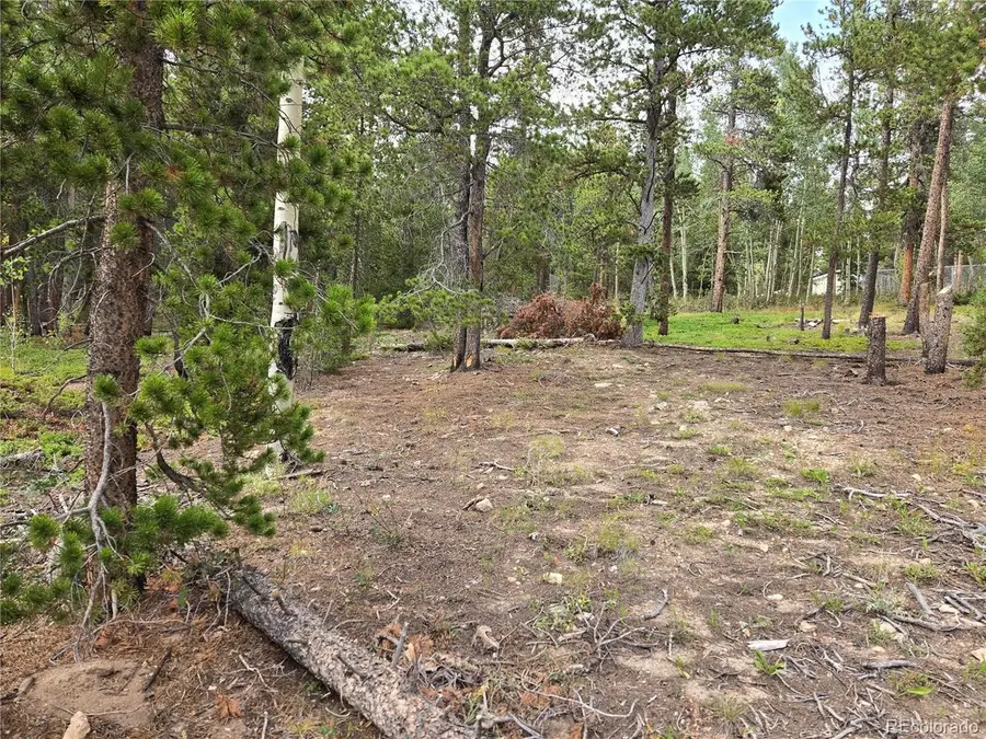 1 Tiber, Black Hawk, CO 80422 - #2