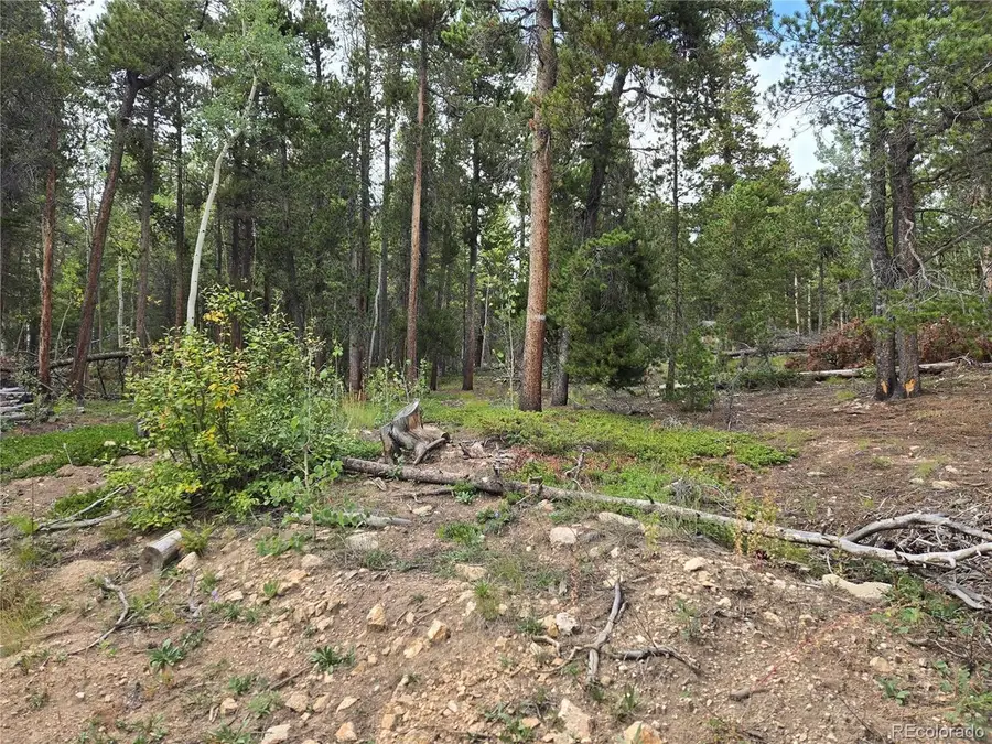 1 Tiber, Black Hawk, CO 80422 - #3