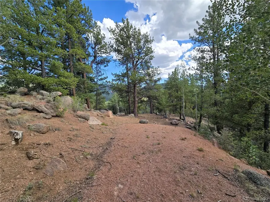 222 Blue Spruce Rd, Divide, CO 80814 - #2